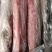 三号肉里脊肉带膘里脊，精瘦肉，，纯瘦肉，肉类产品都有