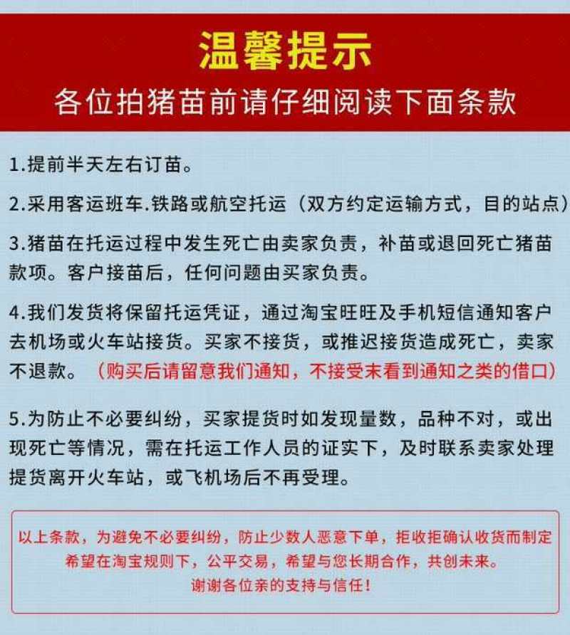 【推荐】高产母猪品种齐全防疫齐全免费送猪到家