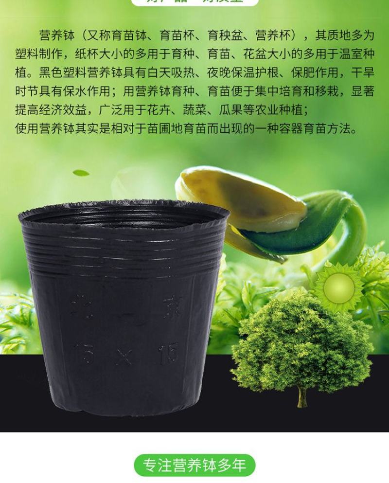 营养杯营养钵育苗杯黑色营养袋育苗袋播种植塑料育苗盆包邮