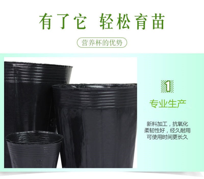 营养杯营养钵育苗杯黑色营养袋育苗袋播种植塑料育苗盆包邮