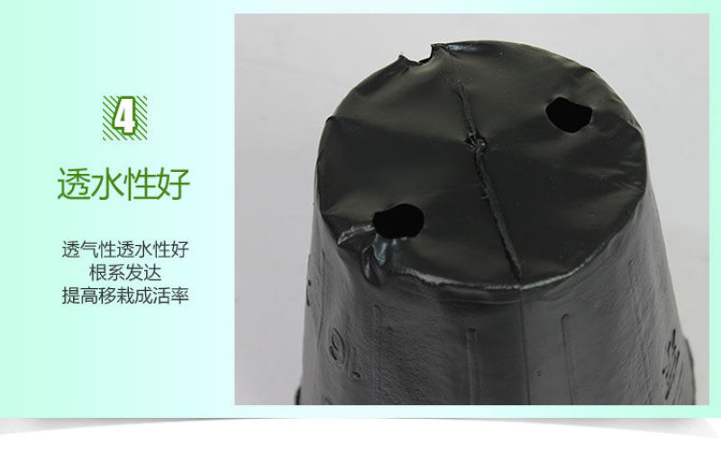 营养杯营养钵育苗杯黑色营养袋育苗袋播种植塑料育苗盆包邮