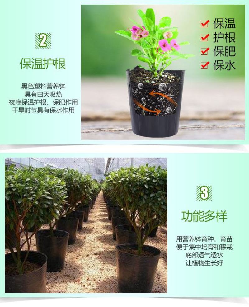 营养杯营养钵育苗杯黑色营养袋育苗袋播种植塑料育苗盆包邮