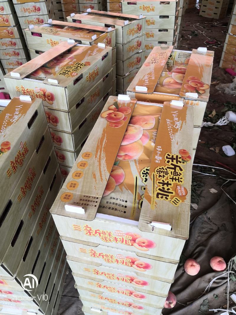 纸袋绿化九晚绿化九水蜜桃大量成熟上市，口感好，颜色好！