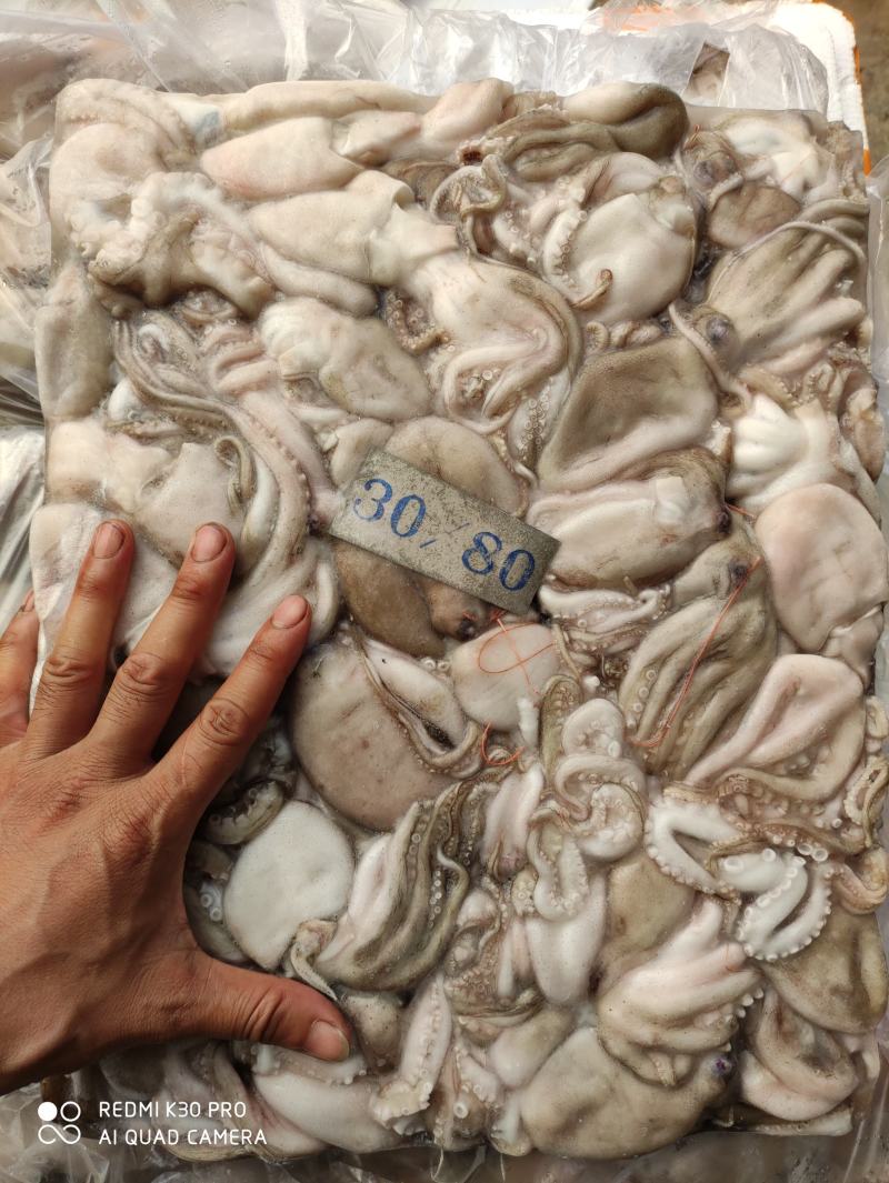 章鱼八爪鱼印尼泰国50/100