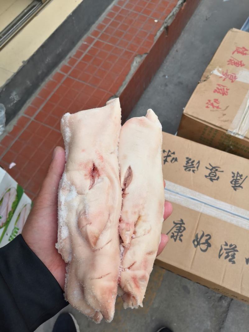 去筋后蹄带筋前蹄都有货