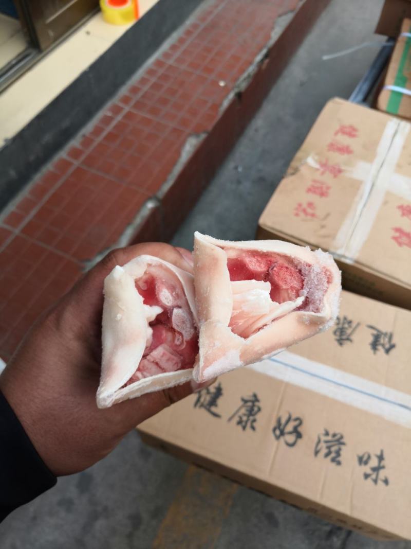 去筋后蹄带筋前蹄都有货