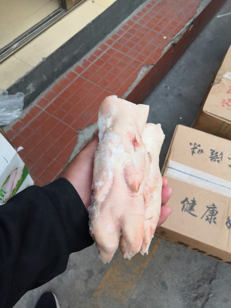 去筋后蹄带筋前蹄都有货