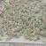 众生源水产养殖合作社