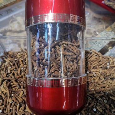小肉节的冬虫夏草无牙签精选货