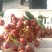 新鲜花椒潼关万亩花椒基地
