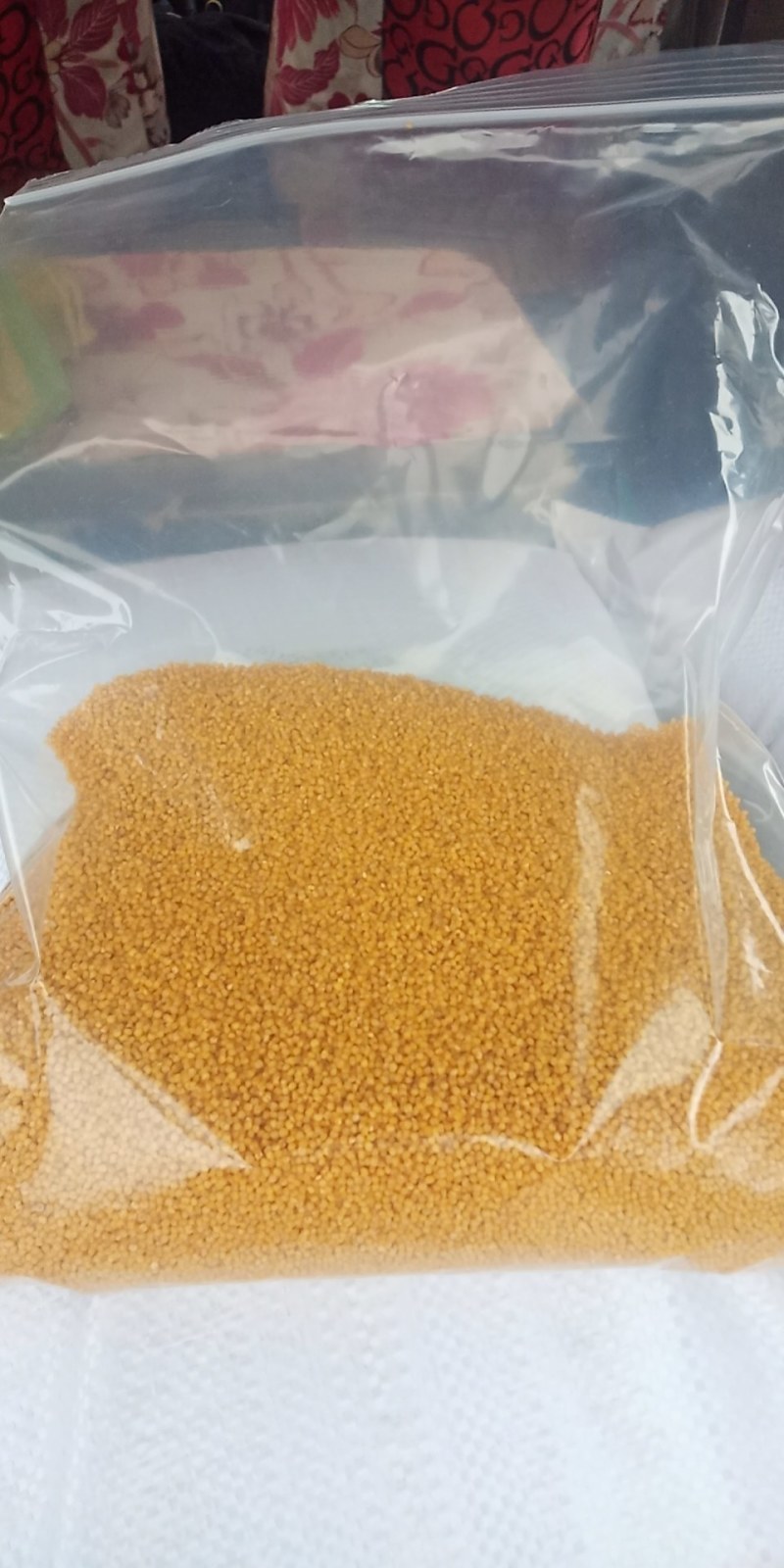 大同广灵东风亮小米，营养更全面，自产原粮，农家自制