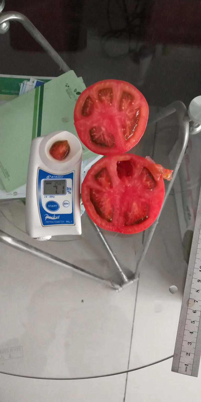 口感番茄苗，有种，有苗，优惠多多