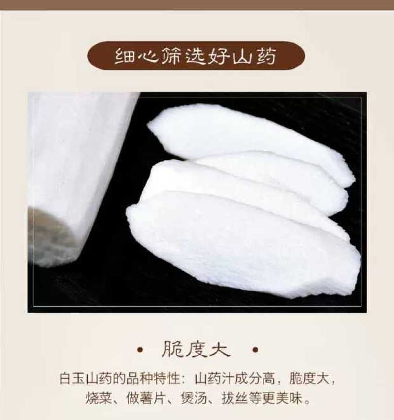 山东莘县山药小镇，新鲜出炉的白玉山药即将隆重上市！