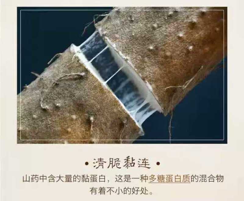 山东莘县山药小镇，新鲜出炉的白玉山药即将隆重上市！