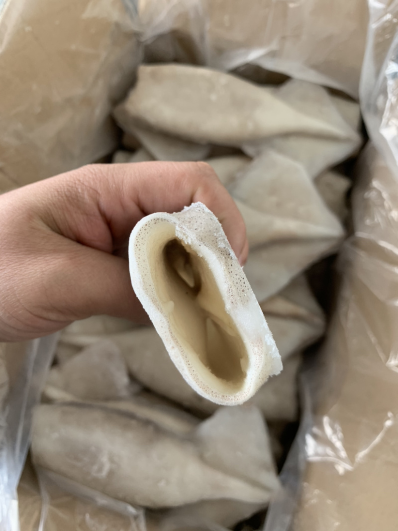 各种规格阿根廷单冻鱿鱼筒