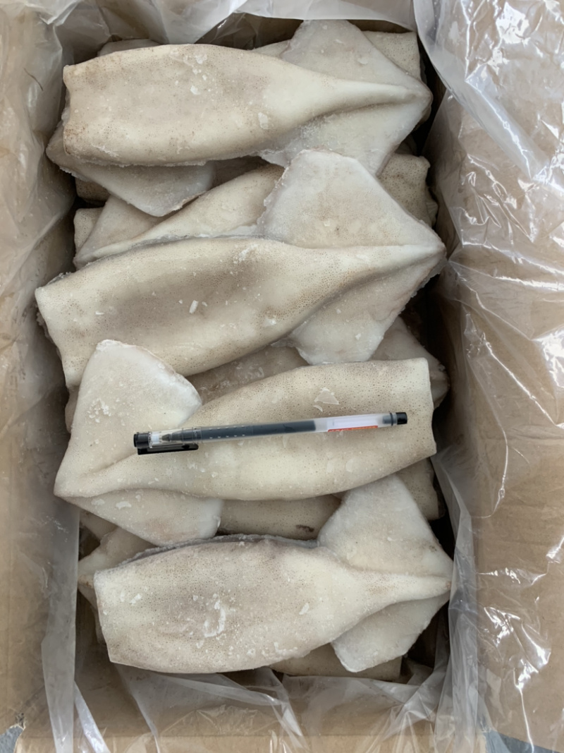 各种规格阿根廷单冻鱿鱼筒