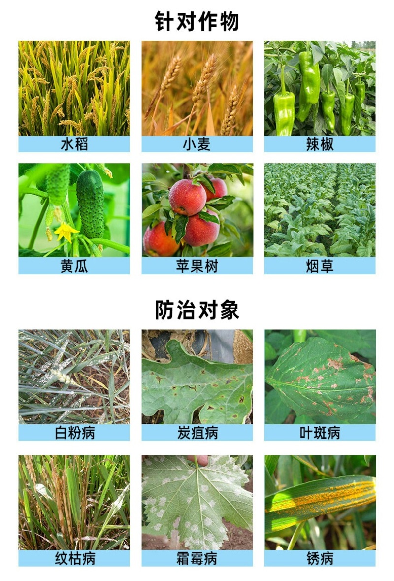 绿托70%福美双甲基硫菌灵硫磺福甲硫磺白粉病炭疽病杀菌剂