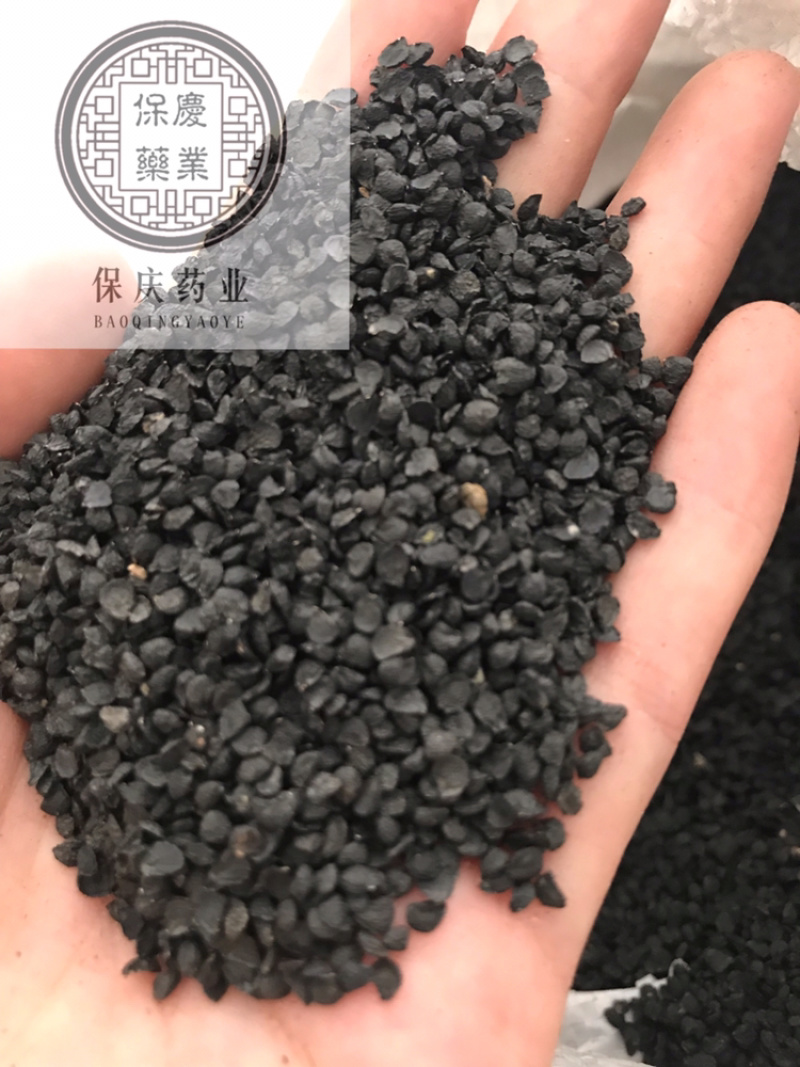 韭菜籽保庆药业批发韭菜子实物拍摄韭菜籽
