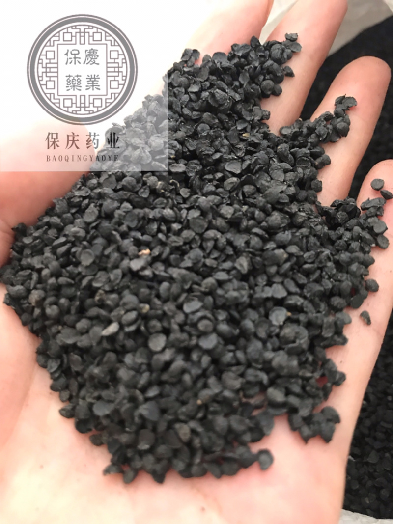 韭菜籽保庆药业批发韭菜子实物拍摄韭菜籽