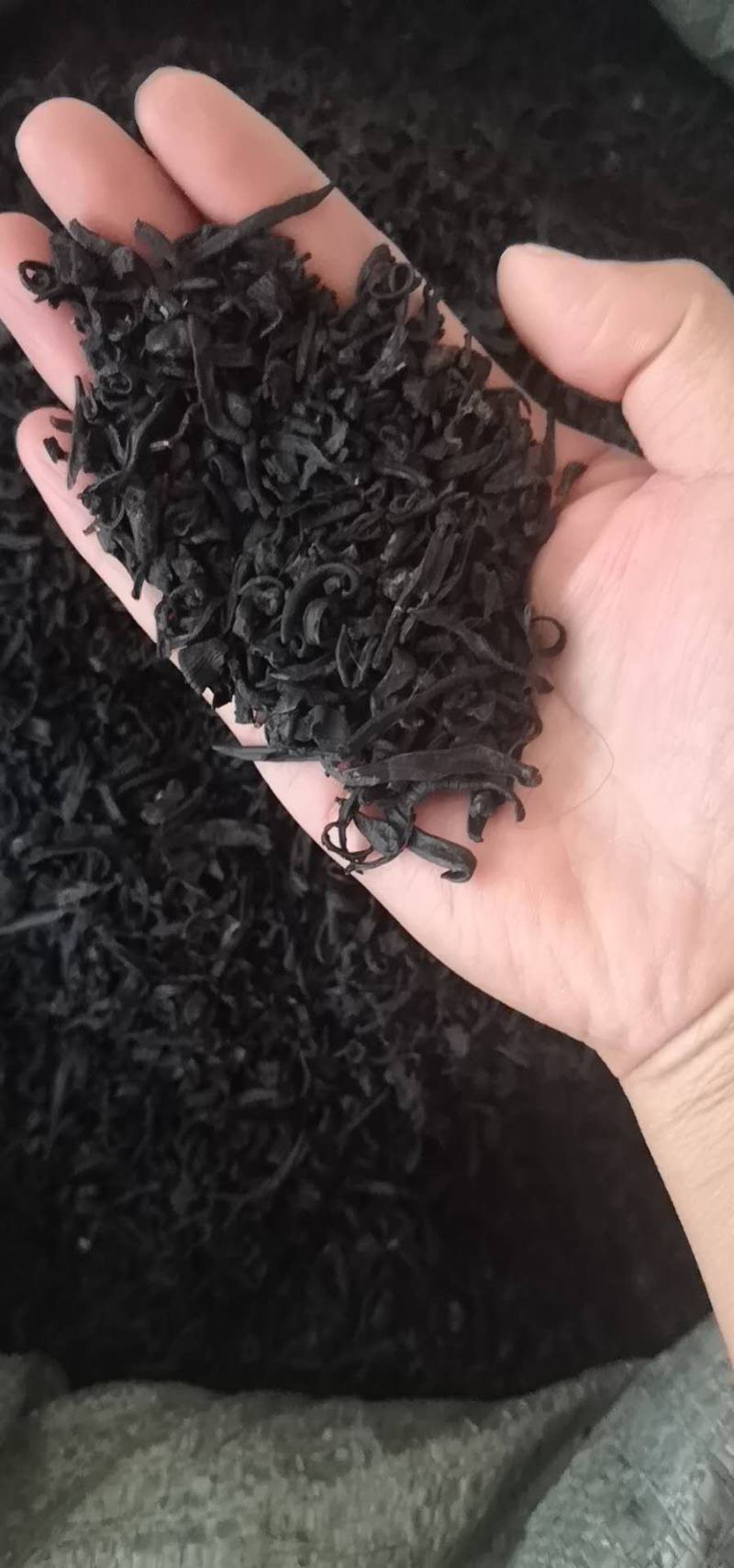 药用水蛭蚂蟥干货可打粉中药专营品质保证