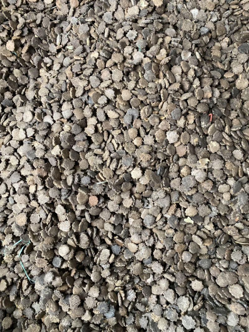 木鳖籽，新货，足干货不走油，一手货源