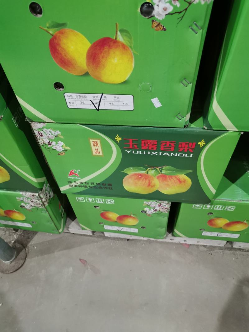 玉露香，红度大，果面干净，入口即化，口感细腻