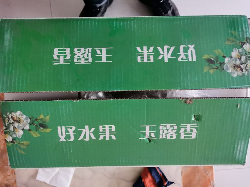 玉露香，红度大，果面干净，入口即化，口感细腻