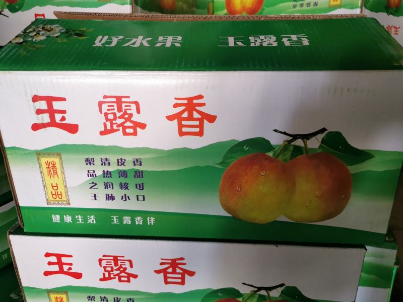 玉露香，红度大，果面干净，入口即化，口感细腻