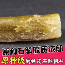 正品霍山铁皮石斛枫斗粉鲜干条中药材石斛养生花茶非特级