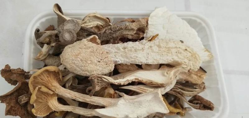 七彩菌汤包优质菌品质汤包云南特产品质至上