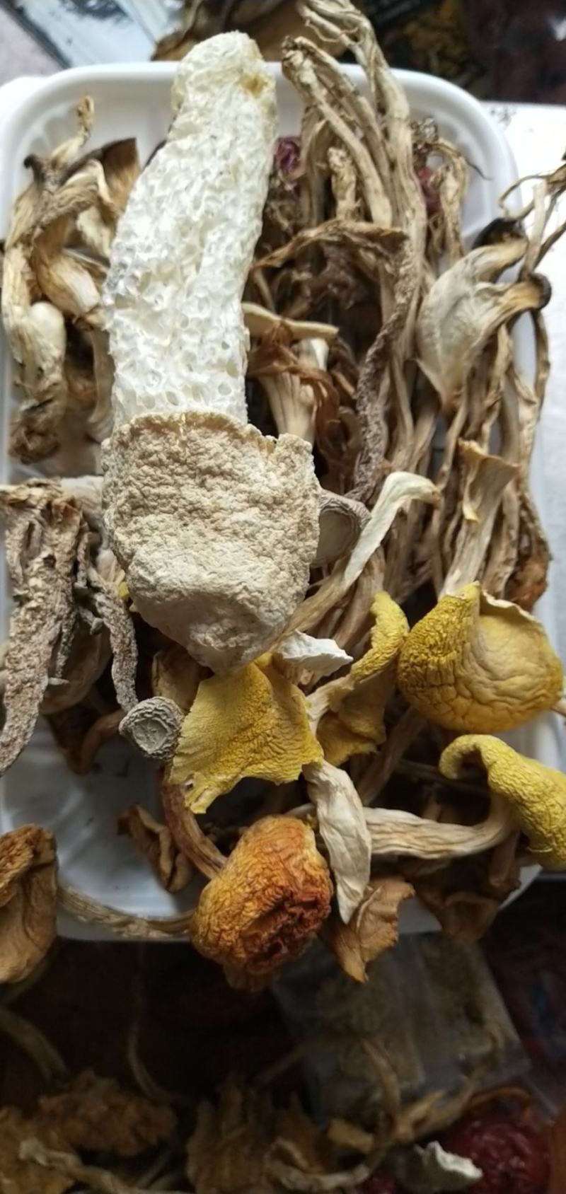 七彩菌汤包优质菌品质汤包云南特产品质至上