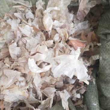 大量出售大蒜皮蛋白13个