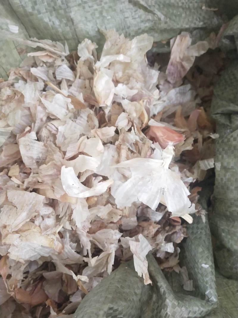 大量出售大蒜皮蛋白13个