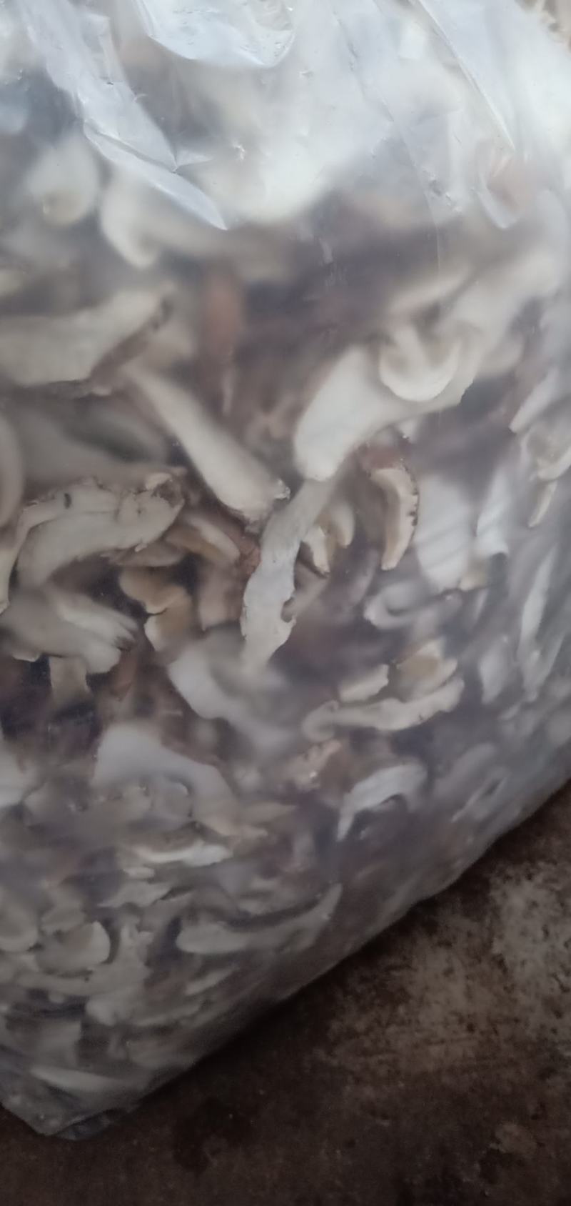 美味牛肝精品，无虫干品