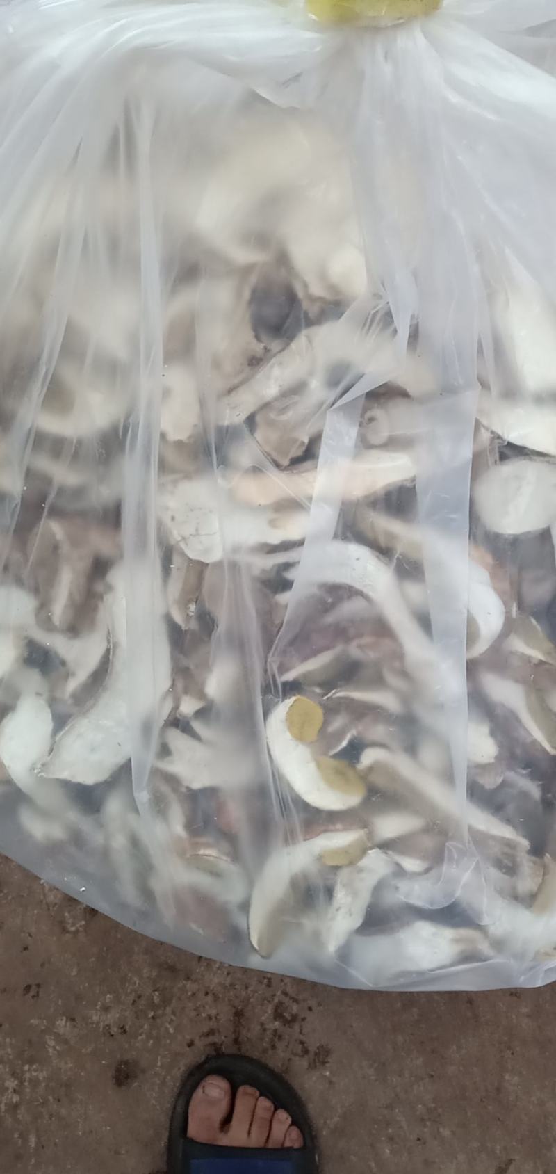 美味牛肝精品，无虫干品