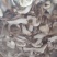 美味牛肝精品，无虫干品