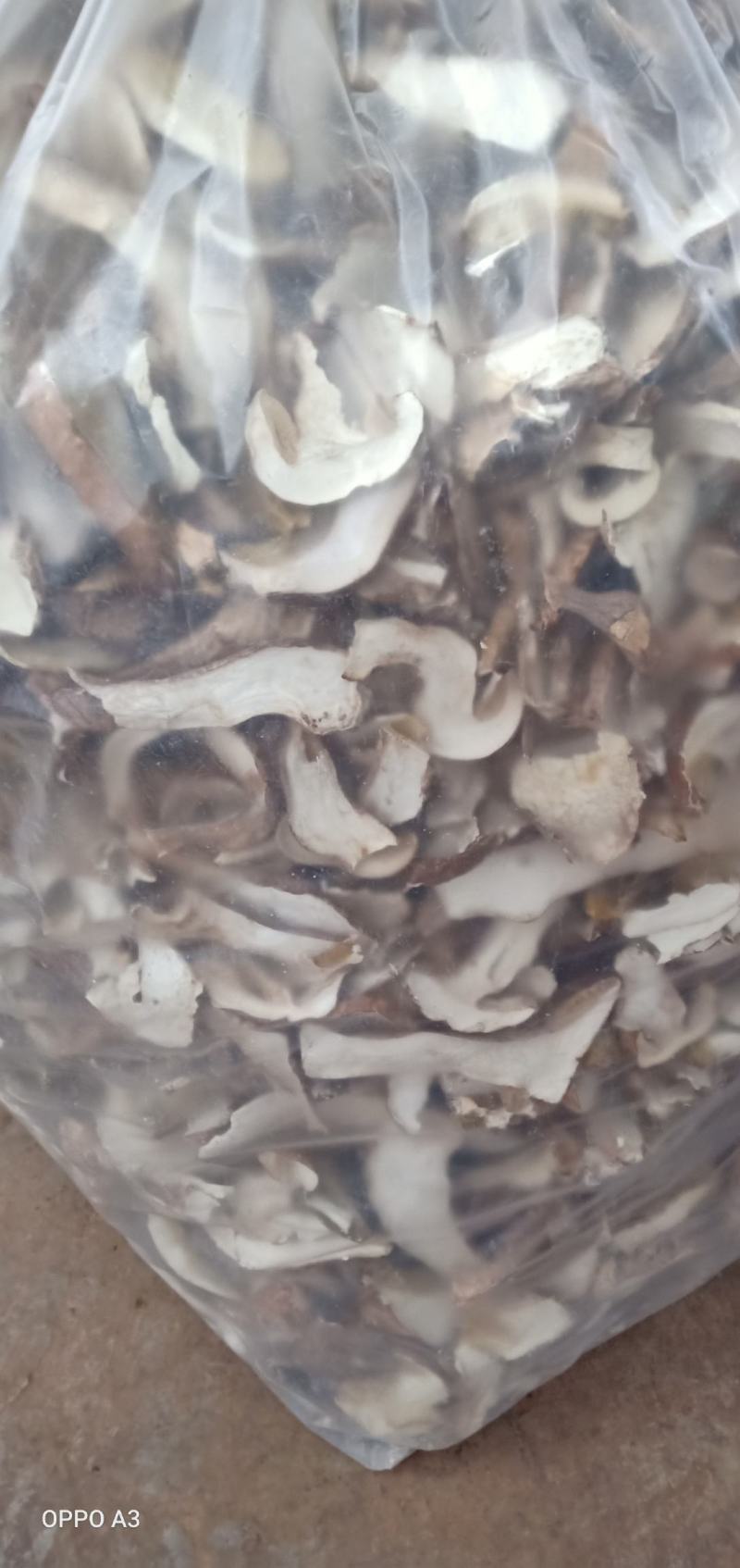 美味牛肝精品，无虫干品