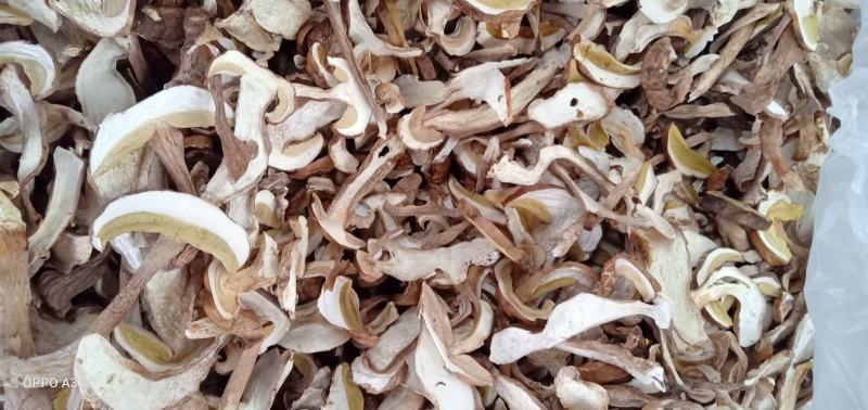 美味牛肝精品，无虫干品