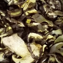 白葱片，精品，统货，应有尽有