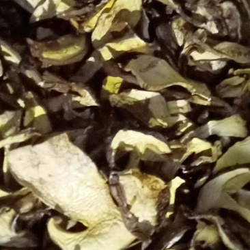 白葱片，精品，统货，应有尽有