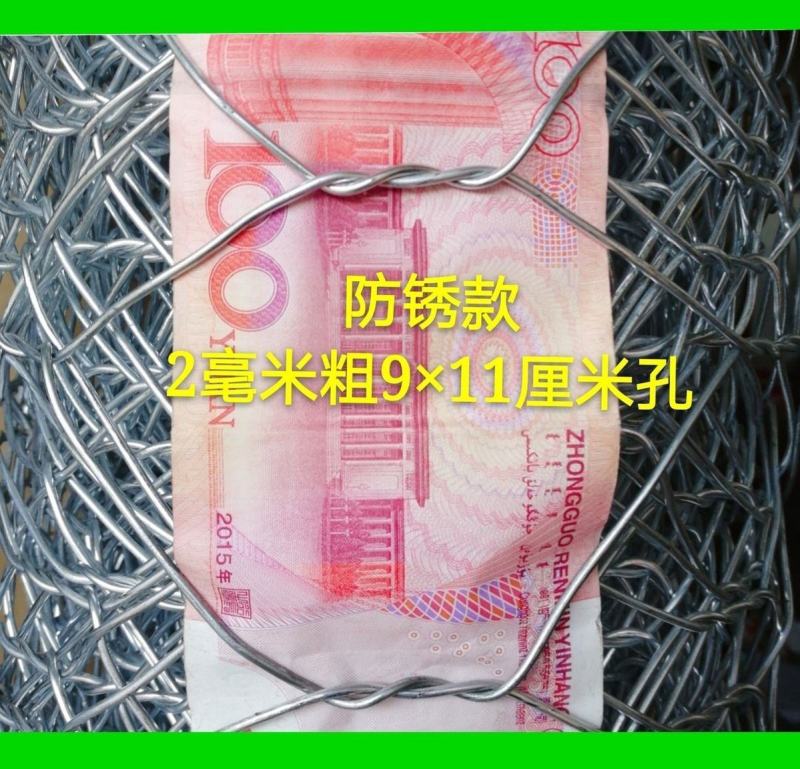 牛羊网围栏拧花网石笼网防撞网果园围网护坡养殖