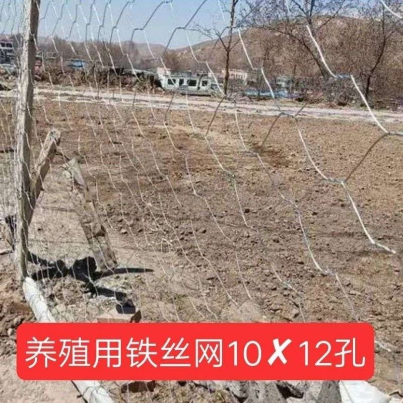 牛羊网围栏拧花网石笼网防撞网果园围网护坡养殖