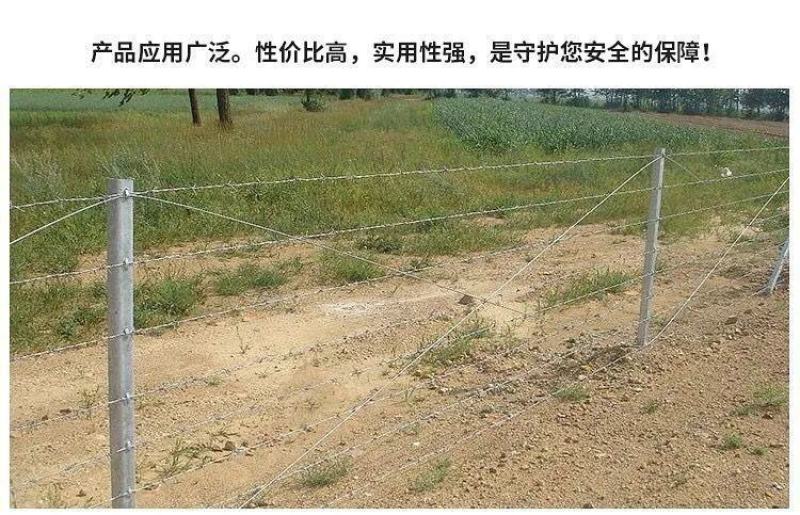 热镀锌刺绳刺线加粗铁丝刺藤防盗防爬圈山圈地养殖防护