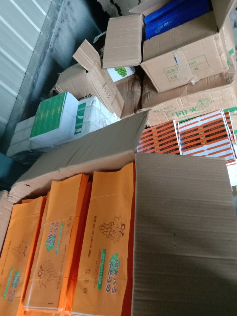 阳光玫瑰葡萄，各种包装，纸箱，胶框，全套辅材，冷库。