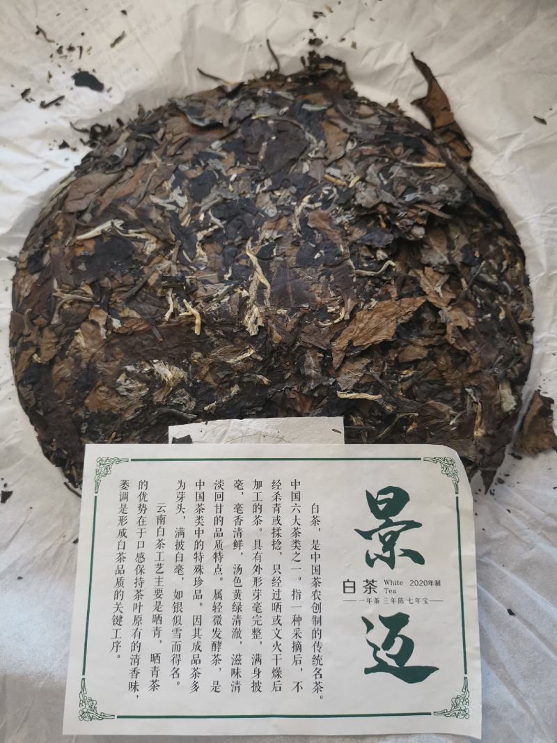 云南景迈大叶种白茶饼
