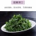 大叶紫花苜蓿种子多年生苜蓿草籽四季牧草种子鸡鸭鹅牛羊鱼草