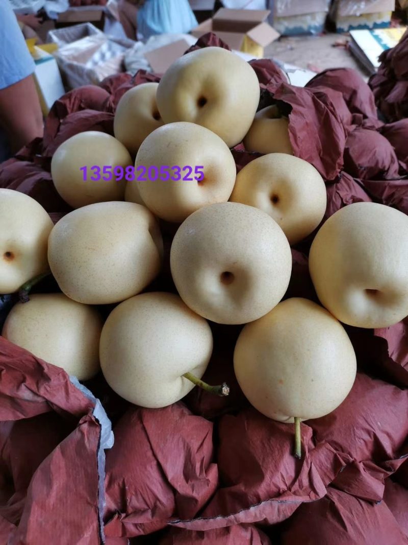 我要把家乡的各种核桃代卖到全国各地