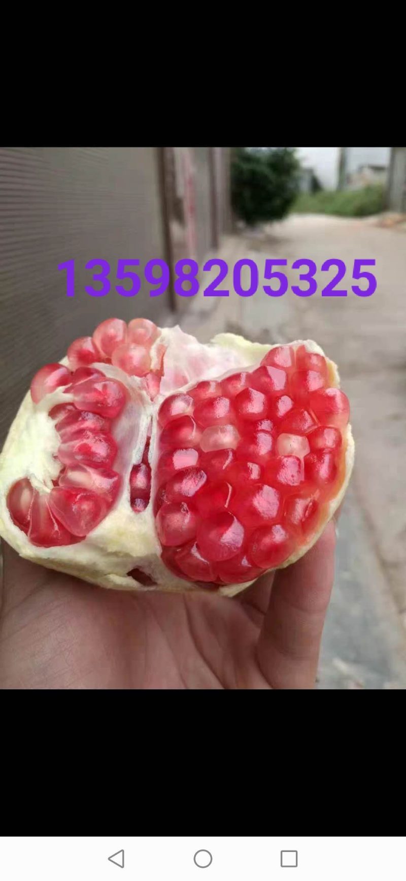我要把家乡的各种核桃代卖到全国各地