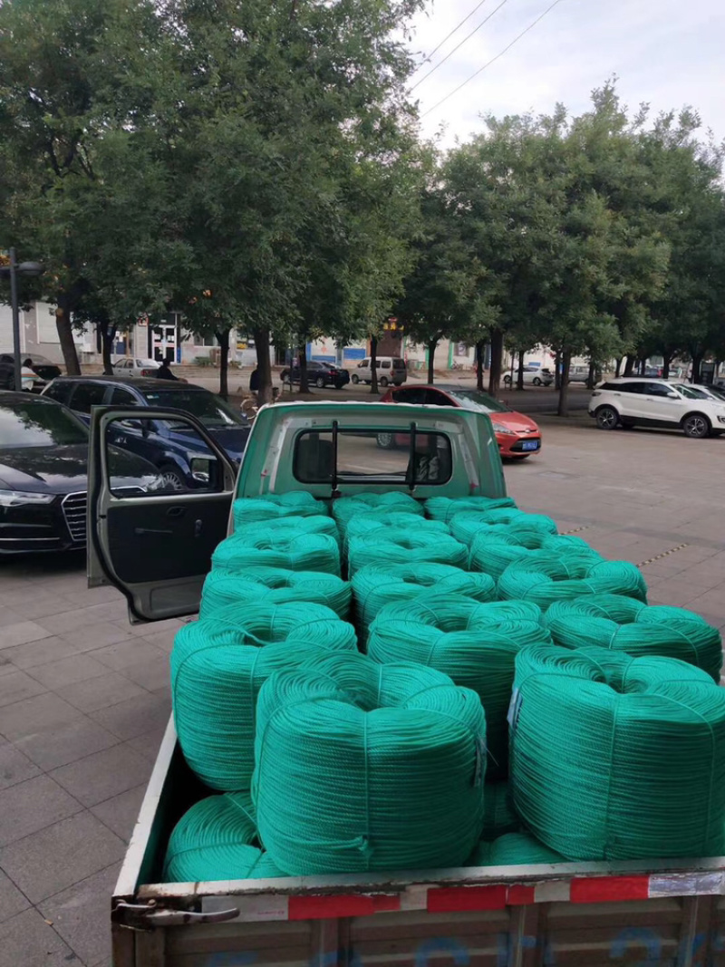 高温棚抗老化压膜绳压膜线正常使用8-10年厂家直销