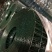 荷兰网，护栏网，圈地网，养殖网，小区围护网